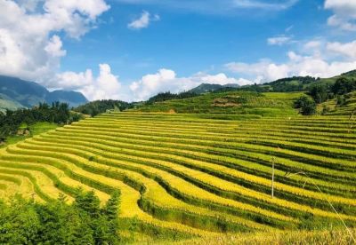Travel agencies in Sapa